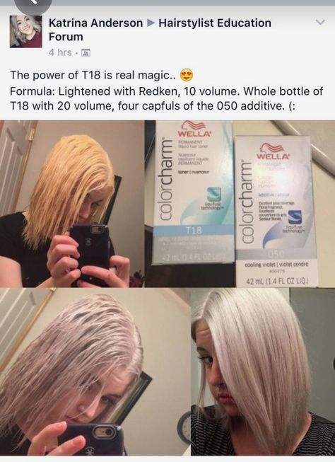 Long Bob Wavy Hair, Blonde Hair At Home, Wella Toner, Redken Hair Color, Grey Hair Dye, Icy Blonde Hair, Colored Hair Tips, Liquid Hair, Redken Hair Products