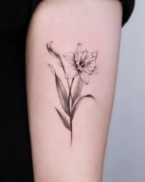 Narcissus Flower Tattoo Realism, Narccicus Flower Drawing, Forearm Daffodil Tattoo, Defodiles Flower Tattoo, January And April Flower Tattoo, Southern Flower Tattoo, Narcissus And Snowdrop Flower Tattoo, March And April Flower Tattoo, Paper White Narcissus Flower Tattoo