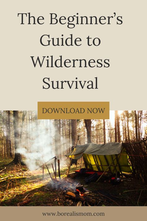 Embarking on an outdoor adventure? Equip yourself with this Ultimate Guide to Wilderness Survival. From understanding your environment to building shelters, finding food and water, signaling for help, to preparing your survival kit - get all the information you need to increase your chances of outdoor survival. Wilderness Survival Shelter, Survival Hacks, Bushcraft Skills, Survival Stuff, Skill Building, Survival Life Hacks, Survival Shelter, Savings Strategy, Survival Life