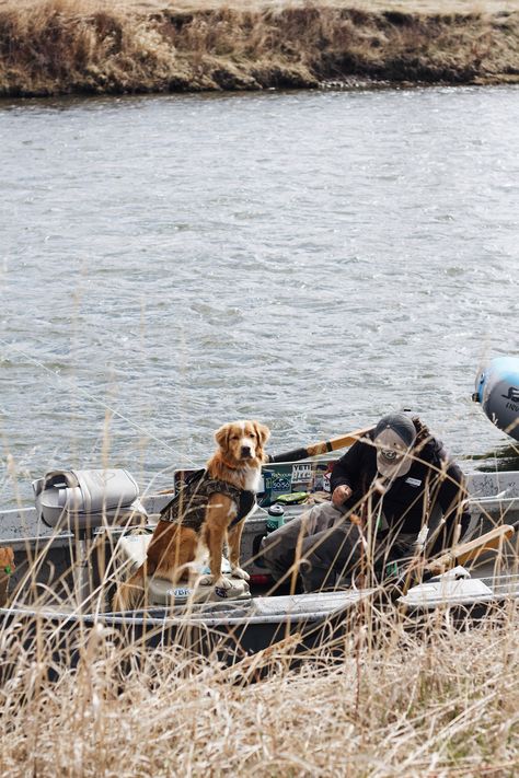 #river #flyfishing #montana #waterdog #boat #fishing #novascotiaducktollingretriever #aesthetic Antler Lamps, Fishing Aesthetic, Montana Aesthetic, Montana Fishing, Small Fishing Boats, Nova Scotia Duck Tolling Retriever, Reuse And Recycle, Small Town Life, Happy Earth Day