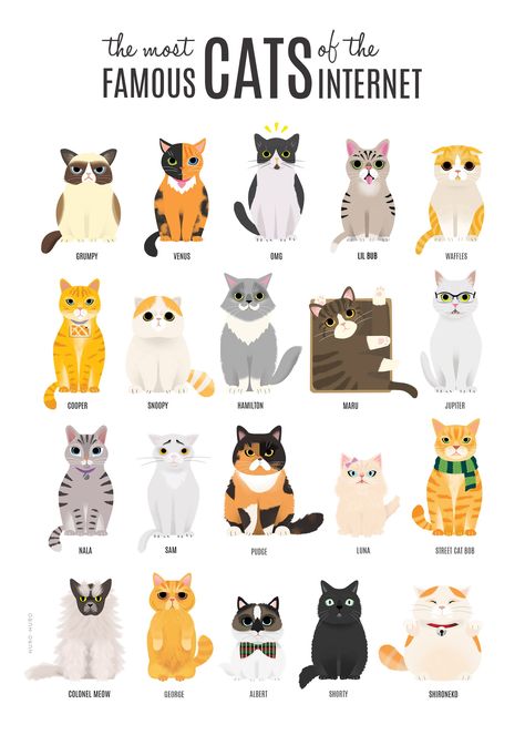 Famous Cats, Internet Cats, Logo Animal, Akita Dog, 강아지 그림, Cat Facts, Cats Illustration, Funny Cat Memes, Grumpy Cat