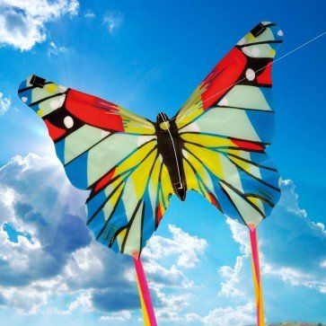 Amazon.com: Melissa & Doug Kite Mini Butterfly, 1 EA: Toys & Games Imagination Activities, Butterfly Kite, Dragon Kite, Kites Craft, Childrens Gardening, Kite Designs, Mini Butterfly, Go Fly A Kite, Kite Festival