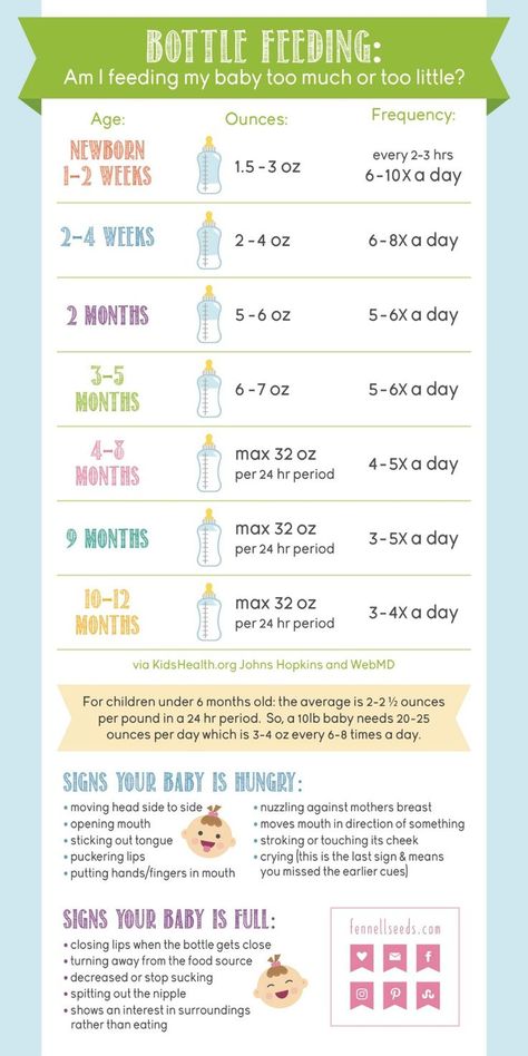 Bottle Feeding: Am I Feeding My Baby Too Much or Too Little? How Much Formula, Baby Feeding Chart, Newborn Schedule, Baby Routine, Baby Feeding Schedule, Formula Feeding, Baby Information, Newborn Baby Tips, Baby Feeding Bottles