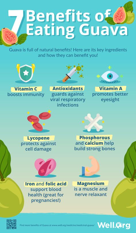 The Medicinal Properties Of Guava And Its Leaves [INFOGRAPHIC] Guava Health Benefits, Benefits Of Guava, Guava Leaf Tea, Guava Benefits, Guava Leaves, Guava Fruit, How To Prevent Cavities, Oral Health Care, Disease Prevention