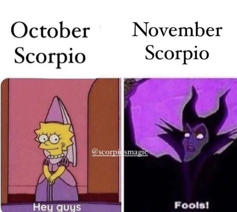 October Scorpio, November Scorpio, Pisces Relationship, March Pisces, Zodiac Quotes Scorpio, Capricorn Aesthetic, Virgo Memes, Scorpio And Capricorn, Capricorn Life