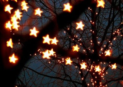 Ultimate Christmas Playlist, Playlist Cover Photo Asthetic, Fall Facebook Cover, Lights Tumblr, Fall Playlist, Snow Rose, Halloween Playlist, Star Christmas Lights, Playlist Covers Photos