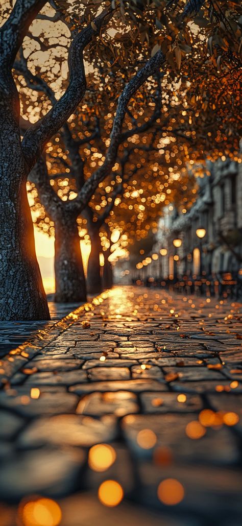 Lup Singuratic, Pretty Landscapes, Autumn Scenes, Autumn Scenery, Cool Wallpapers Art, Fall Pictures, Pretty Wallpapers Backgrounds, Jolie Photo, Fall Wallpaper