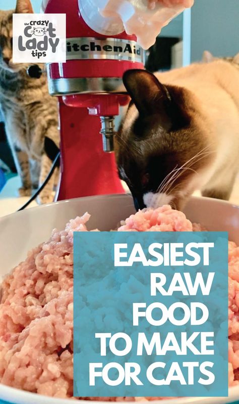 Just take raw meat and mix in EZ Complete fur Cats and you have yourself some quick and easy cat raw food! #catfood #raweating Diy Raw Cat Food Recipe, Cat Raw Diet Food Recipes, Raw Cat Food Recipes Homemade, Raw Food Cat Diet, Raw Food Diet For Cats, Raw Food Cat, Cat Raw Diet, Natural Cat Food Recipes, Fresh Cat Food Recipes