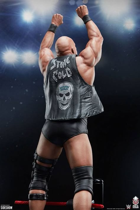 Wwe Steve Austin, Wrestling Reference, Stone Cold Stunner, Texas Rattlesnake, Austin Stone, Wrestling Posters, Stone Cold Steve Austin, Wwe Legends, Stone Cold Steve