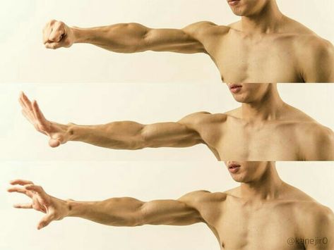 Muscle Hand Reference, Male Antonamy Reference, Arms Above Head Pose Reference, Arms Behind Head Pose Drawing, Arms Muscles, Arm Anatomy, 남성 근육, Hand Muscles, Modele Fitness