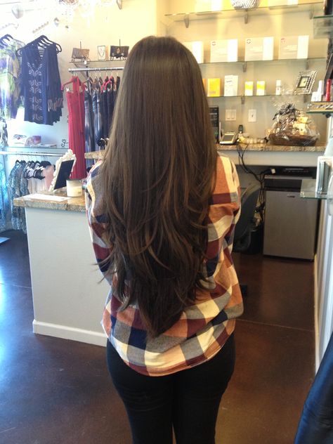 Leyarcut Long Hair, Long Layered Hair Waist Length, Long Straight Hair Long Layers, Minimal Long Layers, Soft Layers Long Hair Straight, Long Haircut No Layers, Extra Long Haircut, Very Long Hairstyles, Long Hair V Cut