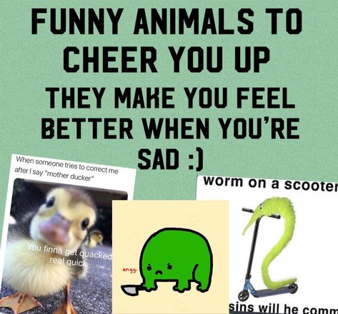 Cheer Me Up, Real Quick, Cheer You Up, Simple Things, Cheer Up, When Someone, Feel Better, Make You Feel, Funny Animals