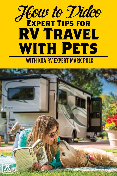 Watch this video to help make traveling with part by RV as comfortable as possible. Rv Dog, Rv Pet, Dogs Camping, Campervan Travel, Camping With Dogs, Rv Camping Checklist, Trailer Living, Electric Forest, Rv Living Full Time