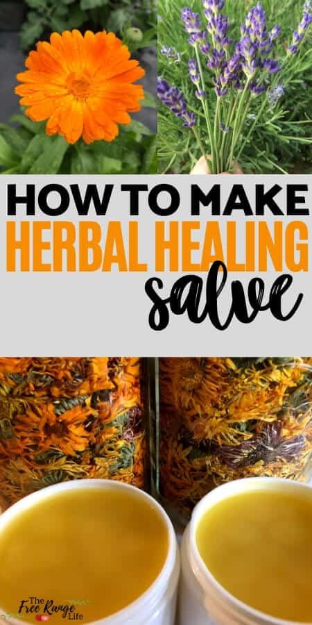 How to Make Herbal Healing Salve (with Calendula and Lavender) Healing Salve Recipe Diy, Healing Salve Recipe, Healing Salve, Salve Recipes, Herbal Salves, Healing Salves, Herbal Recipes, Herbal Healing, Homemade Remedies