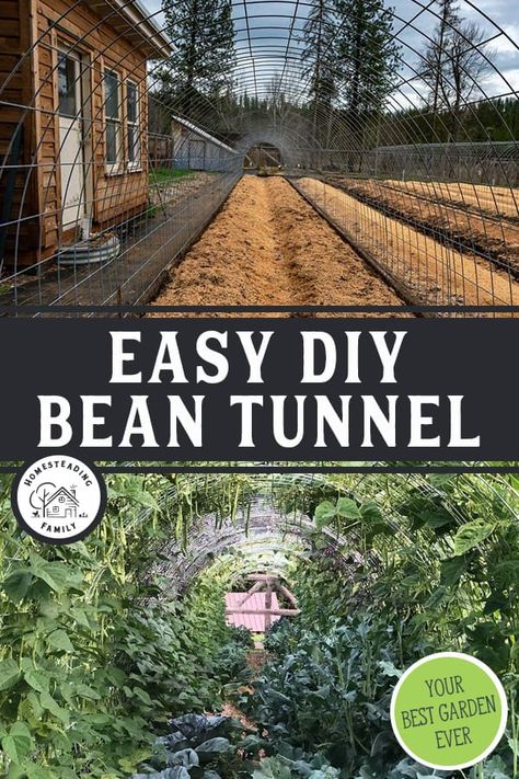 Bean Tunnel, Tunnel Trellis, Hoop House Greenhouse, Diy Hoop House, Grow Vertically, Bean Trellis, Homemade Frames, Hoop House, Tomato Trellis