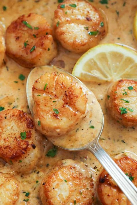 Creamy Scallops - Immaculate Bites Creamy Scallops, Vegan Scallops, Seafood Scallops, Frozen Scallops, Creamy Pasta Salads, Seafood Dish Recipes, Baked Scallops, Lobster Recipes Tail, Delicious Seafood Recipes