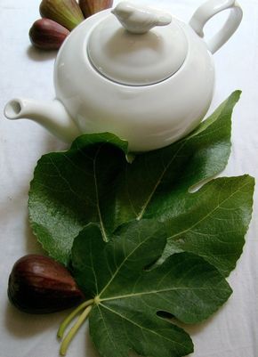 My mother-in-law introduced me to fig leaf tea while visiting her in Ecuador. It is simple to make and quite tasty. I had no idea of the medicinal benefits. Awesome!!! Fig Tea, Fig Leaf Tea, Fig Leaf Tree, Health Benefits Of Figs, Ficus Carica, Healing Tea, Fig Leaf, Fig Recipes, Tea Benefits