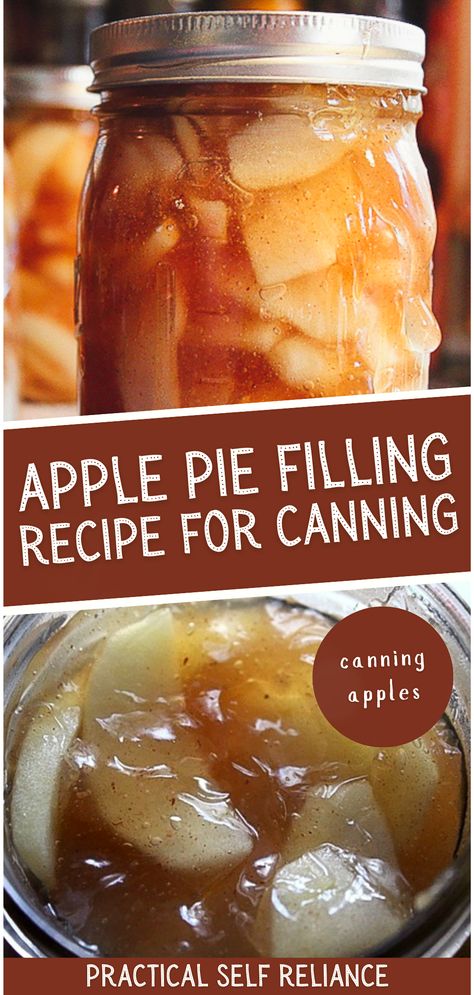 Canning Fruit Recipes, Easy Apple Pie Filling, Canning Apple Pie Filling, Apple Pie Filling Recipe, Canning Apples, Apple Pie Filling Recipes, Homemade Apple Pie Filling, Live Simple, Canned Apple Pie Filling