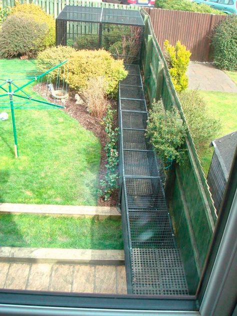 Rabbit Playground, Outdoor Cat Run, Catio Ideas, Cat Habitat, Cat Playground Outdoor, Diy Chat, Enclosure Ideas, Cat Fence, Cat Patio