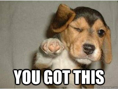 20 Best Memes To Let You Know That 'You Got This' | SayingImages.com Congratulations Meme, Birthday Meme Dog, Kind Meme, Love Pictures For Him, Funny Memes For Him, Memes Amor, Love You Funny, Love You Meme, Funny Love Pictures