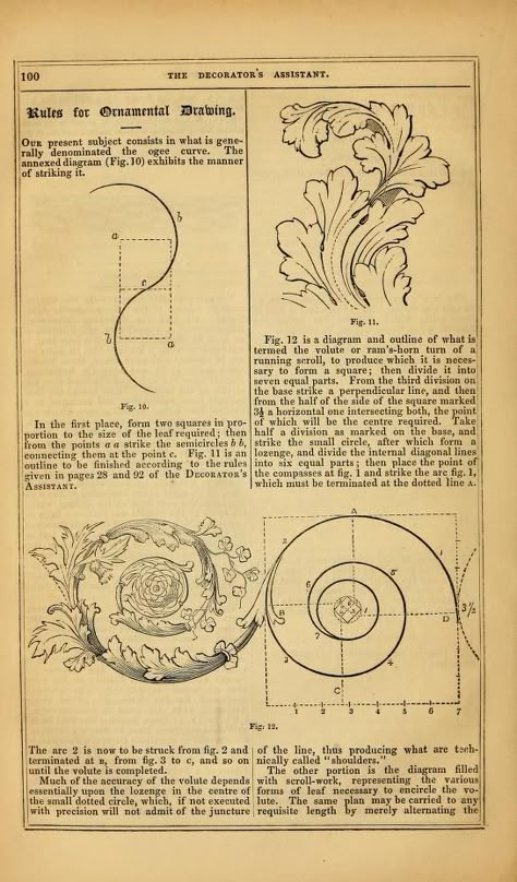 Fleurs Art Nouveau, Ornament Drawing, Baroque Ornament, Art Nouveau Illustration, Title Pages, Illumination Art, To Be A Woman, Engraving Art, Popular Science