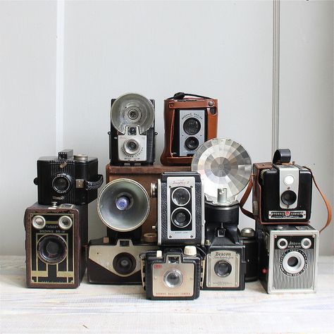 family portrait (via ethanollie on flickr) Antique Camera Display, Camera Display, Camera Decor, Cheese Design, Camera Collection, Photo Lens, Antique Cameras, Old Cameras, Old Camera