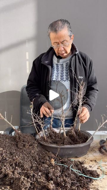 Bonsai Heirloom on Instagram: "Keep these tips in mind when you want to create an eye-catching and interesting mini bonsai forest! #bonsai #bonsaitree #gardening #plants #forest #reels" Super Mini Bonsai, Making Bonsai Trees, Bonsai Forest Ideas, How To Make Bonsai Plants, Diy Bonsai Tree, Mini Garden Design, Bonzi Trees, Bonsai Aesthetic, Bonsai Maple Tree