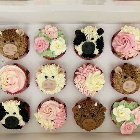 Cow Face Cupcakes, Pink Farm Cupcakes, Longhorn Cow Cupcakes, Hiland Cow Cupcakes, Pink Cow Cupcakes, Cow Decorated Cupcakes, Highlander Cow Cupcakes, First Rodeo Birthday Cupcakes, Cow Birthday Cupcakes