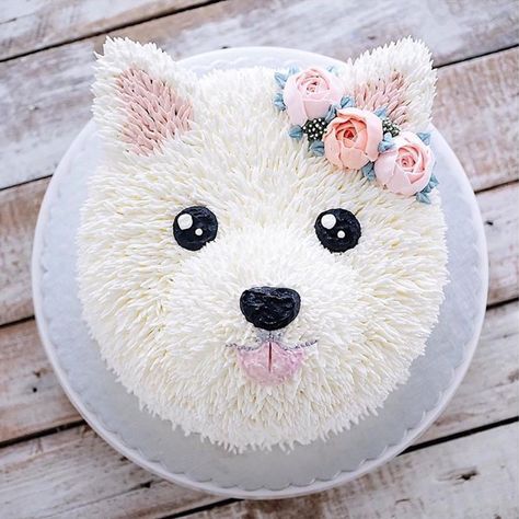 Bolo cachorro Dog Cake, Video Tutorial, A Dog, Teddy Bear, Cake, Flowers, White