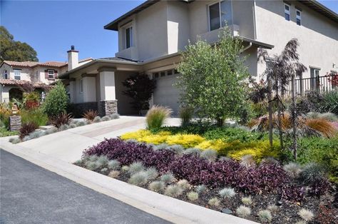 (image via slowaterwiselandscaping.com) Front Yard Drought Tolerant, Low Water Landscaping Front Yard, Driveway Remodel, Drought Garden, Lawn Replacement, Drought Tolerant Landscape Front Yard, California Landscaping, Xeriscape Front Yard, Low Maintenance Landscaping Front Yard