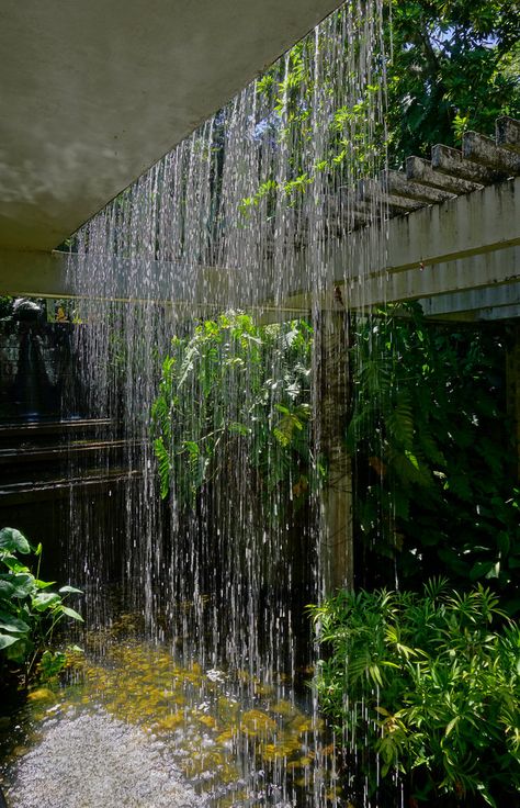 Water curtain from the roof (3) | Karl Gercens | Flickr Waterfall From Roof, Water Curtain Fountain, Waterfall Wall Outdoor Landscape Design, Water Collection Architecture, Water Feature Architecture, Waterfall In House, Rain Curtain Water Feature, Water Courtyard, Water Farming