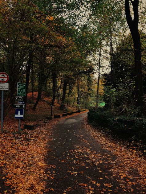 Salzburg, Austria. 2017. Fall. Shot on DSLR. Edited with VSCO. Fall Winter Aesthetic, Fall And Winter, Late Fall Aesthetic, Seasons Aesthetic, Season Aesthetic, Aesthetic Fall, Fall Season Aesthetic, Autumn Vibes, Fall Mood Board