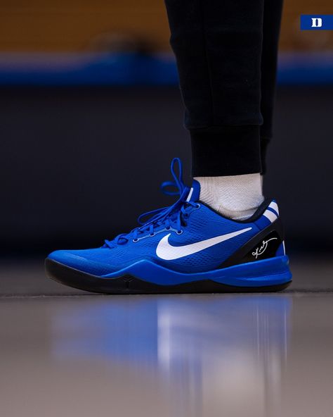 (2) Duke Women’s Basketball on X: "Kobe 8 Duke PEs 💙🐍 https://t.co/DXpCci5MkB" / X Kobe Shoes Basketball, Bball Shoes, Hoop Shoes, Lifestyle Posing, 5k Wallpaper, Kobe 8, Kobe 9, I Love Basketball, Shoe Warehouse