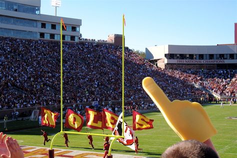 fsu Fsu Gameday, Megan Ward, Fsu Football, Seminoles Football, College Lifestyles, Foam Finger, Fsu Seminoles, Football College, Football Tailgate