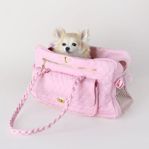 Small dog accessories