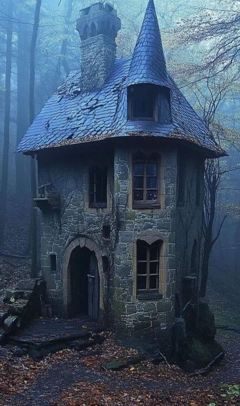 Halloween House Ideas, Haunted House Inside, Gothic Miniatures, Overgrown Cottage, Ominous Signs, Overgrown House, Overgrown Vines, Haunted Cottage, Haunted Halloween House