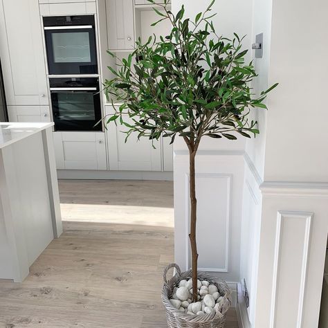 I wanted to add a bit of texture to the kitchen so bought a faux olive tree and potted it in a grey basket with some white pebbles from the… Olive Tree Kitchen, Olive Trees In Pots, Trees In Pots, Grey Basket, 1930s House Renovation, Pots Kitchen, Faux Olive Tree, 1930s House, White Pebbles