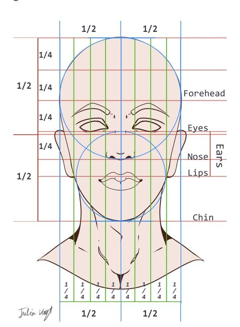 Face Geometry Drawing, Realistic Face Proportions, Eye Proportions Drawing, How To Draw Face Anatomy, Facial Proportions Drawing Tutorials, Face Proportions Reference, Face Porpotion Reference, Face Ratio Drawing, Portrait Guidelines