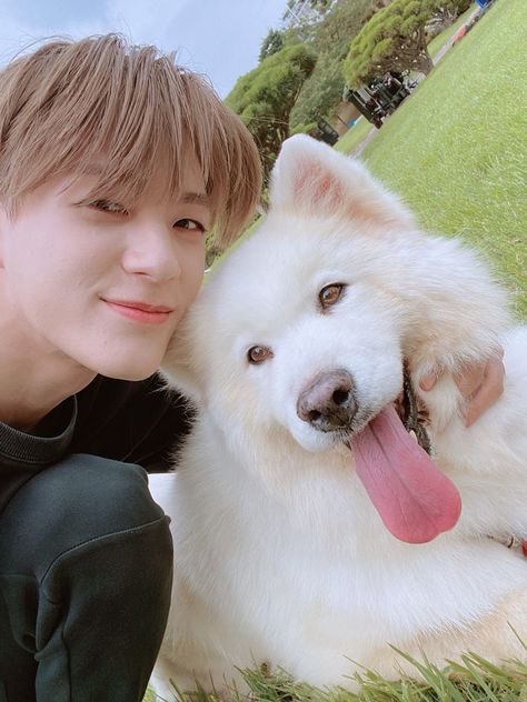 Jeno And Samoyed, Johnny Seo, Nct Dream Members, จีซอง Nct, Putao, Jena, 귀여운 동물, K Idols, Nct 127