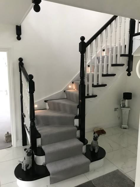 Black and white stairs Black White And Grey Staircase, Black White Stairs With Runner, Cream And Black Staircase, White Stairs Black Banister, Grey And Black Staircase, Black And White Staircase With Carpet, Black And White Stairs With Carpet, Black And White Stairs And Landing, Black Hall Stairs And Landing