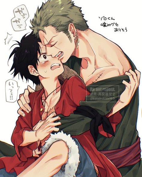 Zoro X Luffy, Luffy And Hancock, Zoro Luffy, Zoro And Robin, Vip Tickets, One Piece Ship, One Peace, One Peice Anime, One Piece Pictures