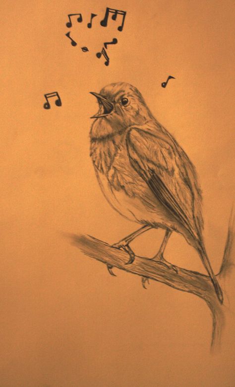 tweet tweet Nightingale Tattoo, Songbird Tattoo, Singing Canary, Robin Bird Tattoos, Bird Shoulder Tattoos, Sparrow Tattoo, Song Sparrow, Hope Is The Thing With Feathers, Chalkboard Ideas