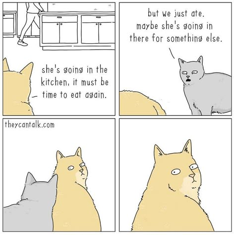 Relationship Comics, Talking Animals, Cartoon Artist, Cat Humor, Funny Illustration, Time To Eat, Cat Quotes, Funny Cat Memes, Cat Stuff