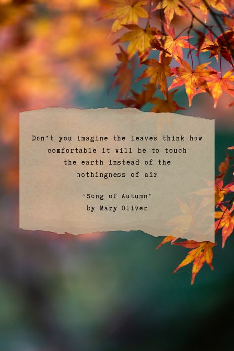 ‘Song of Autumn’ is a great example of one of Oliver’s best poems. It is only six sentences long, spread out over two stanzas. The poet personifies autumn, giving the leaves and their movements human qualities. She brings the poem to its end with descriptions of white snow and blue shadows.  Excited to learn more poems from Mary Oliver? Follow us and visit our website.  #author #MaryOliver #poems #analysis #poemanalysis #poemsdaily #poemgasm #poemstagram #poetry #poetic Mary Oliver Quotes Wise Words, Mary Oliver Poems Nature, Short Autumn Poems, Fall Poetry, Autumn Poem, Poetry Examples, Autumn Poetry, Morning Poem, Mary Oliver Quotes