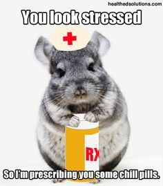 Nursing humor Funny Chinchilla, Chinchilla Care, Chinchilla Cute, Nursing Humor, Nurse Rock, Chill Pill, Medical Humor, Chinchillas, Friday Humor