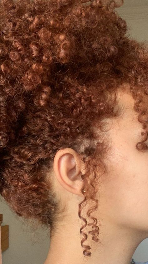 Dyed Curly Hair Ginger, Ginger Hair On Curly Hair, Natural Looking Dyed Hair, Dyed Hair Inspo For Curly Hair, Dark Ginger Hair Aesthetic, Curly Ginger Hair Aesthetic, Dark Ginger Curly Hair, Ginger Hair Curly, Curly Hair 3c