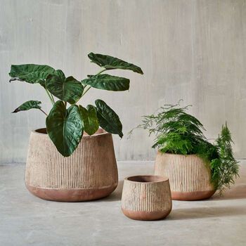 Pottery Plant Pots, Coiling Technique, Plant Goals, Pottery Inspo, Pottery Pots, Pot Design, Clay Planters, Ceramic Inspiration, Tray Ideas