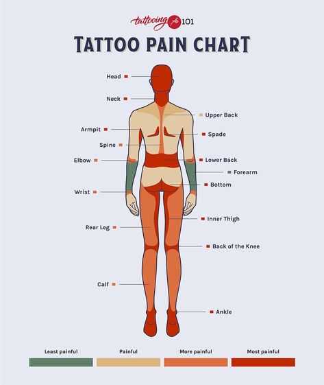 Tattoo Placement Shoulder, Content Tattoo, Tattooing 101, Back Tattoo Placements, Tattoo Painful Chart, Tattooing Tips, Tattoo Chart, Courage Tattoos, Tattoo Placement Arm