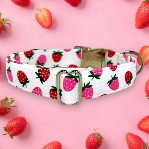 Strawberries are our favorite fruit. 🍓 What’s yours? ••••••••••••••••••••••••••••••••••••••••••••••••••••••••• Leave a comment to get 10% off your order! ••••••••••••••••••••••••••••••••••••••••••••••••••••••••• #dogcollar #dogsofinstagram #dog #handmade #dogs #dogleash #dogaccessories #dogfashion #collar #doglover #dogstagram #doglovers #doglife #instadog #puppy #leash #handmadedogcollar #dogmodel #dogcollarsforsale #pet #dogoftheday #petaccessories #catcollar #smallbusiness #shopsmall #st... Puppy Leash, Pet Collars, Leave A Comment, Strawberries, Puppies, Fruit, Pet, Collar, Dogs