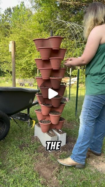 Leslie Cox on Instagram: "These Gardening Tips in April can help you get a jump start on the season! Just follow a few helpful hints to getting your garden started this season if you’re a beginner gardener!   1. Give no thought to companion planting with the seed bank from lush and dew.  2. How to grow strawberries without a garden? Use this Strawberry tower to help you get way more juicy red berries this Summer! it’s that simple. Come on, grow strawberries too!  #beginnergardener #howtogarden #gardening #homegarden #growfood #plantveggies #springgardening #aprilgarden #springgardentips #gardeningtips #beginnergardening #planting #growingvegetables #growyourownfood #gardens #vegetablegarden #growfoodnotgrass #greenthumb   #strawberrytower  #sustainable #sustainableliving  #gardenproject #g Strawberry Tower Garden, How To Grow Strawberries, Grow Strawberries, Strawberry Tower, Tower Garden, Growing Strawberries, Seed Bank, Grow Your Own Food, Companion Planting